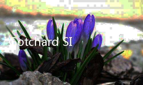 Gotchard SIM游戏下载