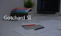 Gotchard SIM游戏