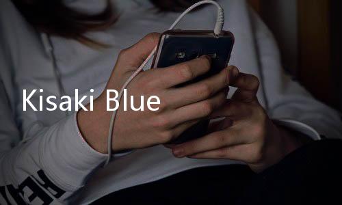 Kisaki Blue Archive Copypasta下载