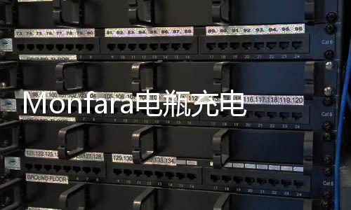 Monfara电瓶充电器12v24V伏汽车水电瓶充电机通用大功率充满自停下载