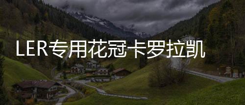 LER专用花冠卡罗拉凯美瑞雷凌汽车喇叭6x9寸音响改装后备箱低音下载