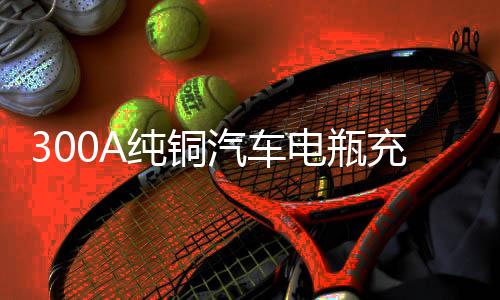 300A纯铜汽车电瓶充电器大功率货车叉车充电机6v12v24v智能通用下载