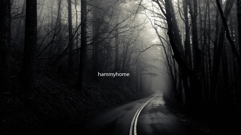 hammyhome下载