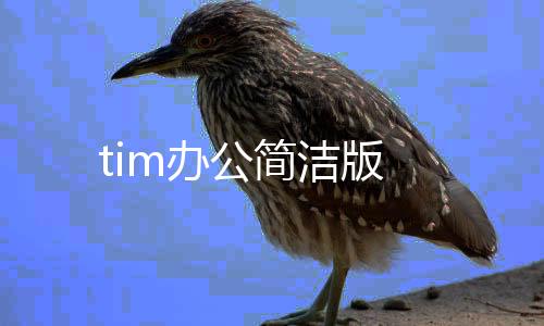 tim办公简洁版下载